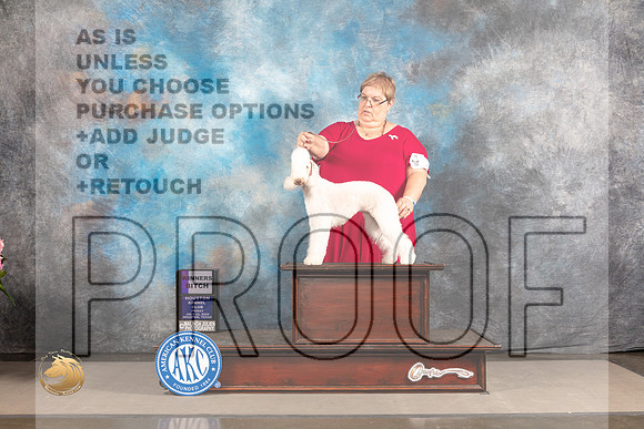 Bedlington Terrier #10 FRI WB Judge Barbara Alderman_MJ_5307_Houston_2022_HR3