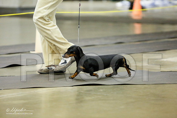 _RH_1360-BeltonJan2015IABCA-HR3