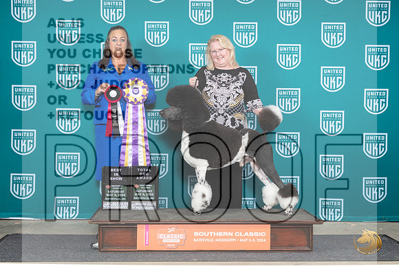 Poodle Std MC #128 Sat1 BISTD Judge Valerie Piltz__JP_6521_BatesvilleMS_2024_HR3