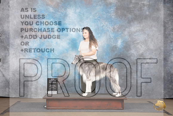 Silken Windhound #224 Sun BM NCh Judge Brenda Landers__JP_2909_LongviewTX_2024_HR3