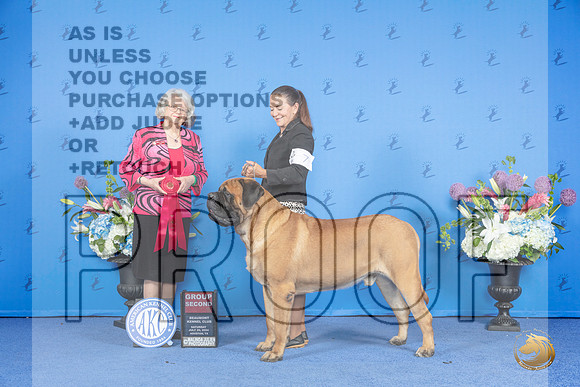 Mastiff #7 SAT G2 Judge Annella Cooper__JP_0027_Houston_2024_HR3