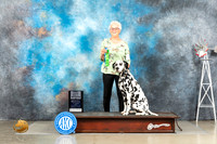 Dalmatian #24 Fri 1RAdvB