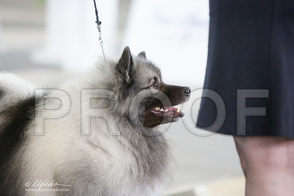 _JJ_0515-DallasJul2014-HR3