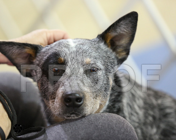 ACD-9274-HtoJan2014-HR3