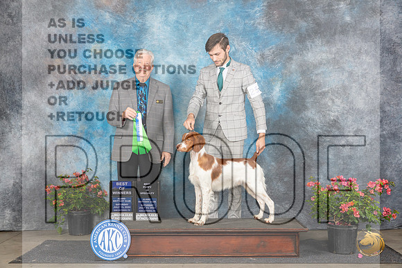 Brittany #25 Sat BOWBP Judge Robert Stein__JP_5053_San Antonio_2024_HR3