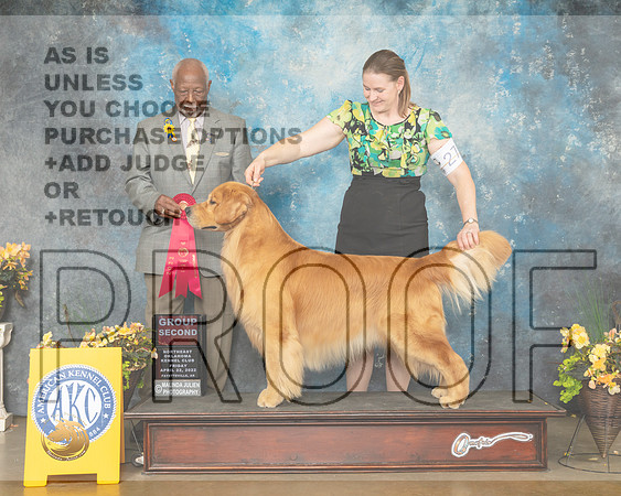 Golden Retriever #29 Fri G2 Judge Eugene Blake-MMJ_9791-NWARK2022-HR3