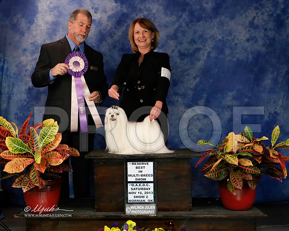 _J2_8973-NormNov2013-HR