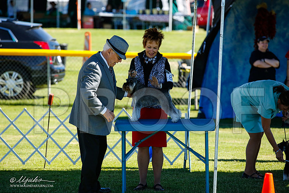 _JN_4647-AlamogordoOct2014-HR3