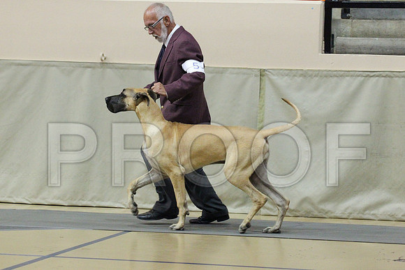 MJS_3275