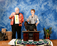 English Toy Spaniel #5 Sat G3 Michael & Heather Reid & Susan Plance Judge Denny Mounce