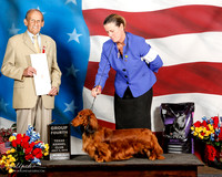 Dachshund Longhaired #15 Fri G4