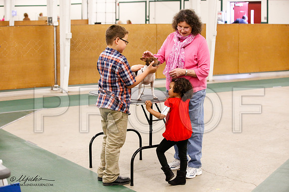_JN_0466-NrmnNov2014-HR3