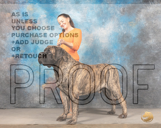 Mastiff #5MMJ_4340_Mdlnd2022_HR3