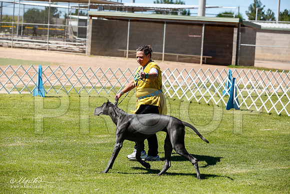 _JN_6376-AlamogordoOct2014-HR3