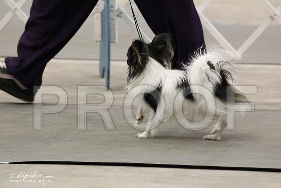 IMG_7474-Abilene2011-HR3