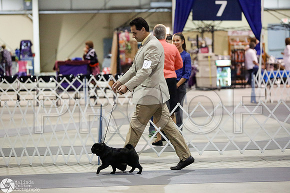 _RH_4282-SanAntonioJul2014-HR