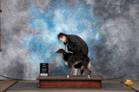 Silken Windhound #1974 Fri BIS Judge Malinda Julien