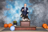 Miniature Schnauzer #7 Sun G3 Judge Jan Paulk