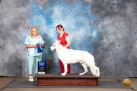 White Shepherd #32 Sun G1 Judge Chandra Martin