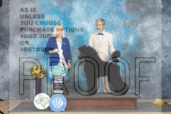 Poodle Std #23 Sat G4 Judge Edy Dykstra-Blum__JP_9952_Abilene_2024_HR3