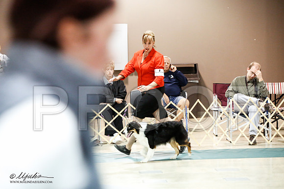 _JJ_3521-ASCACollegeStationNov2014-HR3