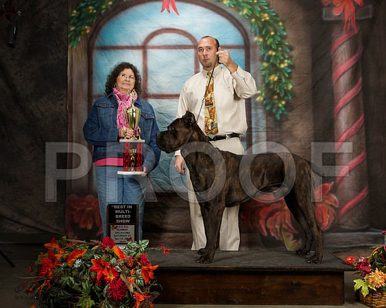 _ST_7078-NrmnNov2014-HR3