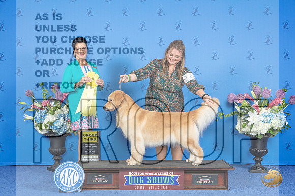 Golden Retriever #26 FRI G3 Judge Debbie Freeman__JP_9348_Houston_2024_HR3