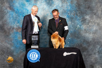 Pomeranian #19 Fri SD Judge Jon Cole
