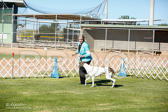 _JN_5694-AlamogordoOct2014-HR3