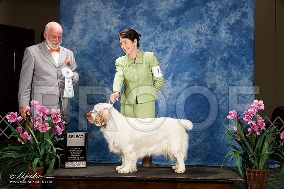 _ST_5618-ClumberMar2015-HR3