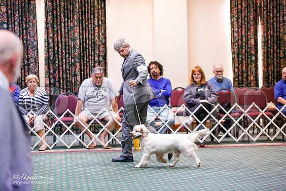 _JJ_3522-ClumberMar2015-HR3