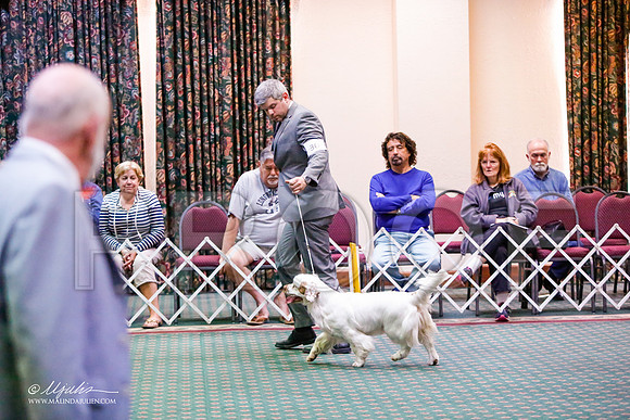 _JJ_3523-ClumberMar2015-HR3