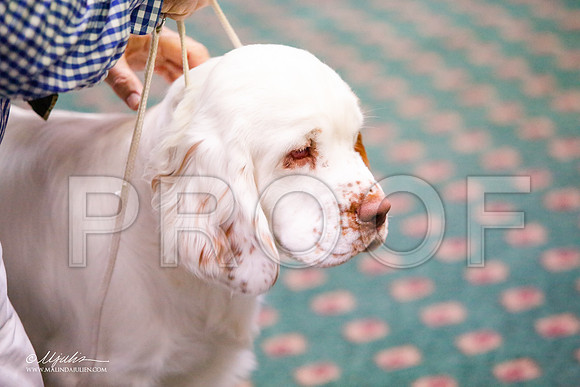 _JJ_3220-ClumberMar2015-HR3
