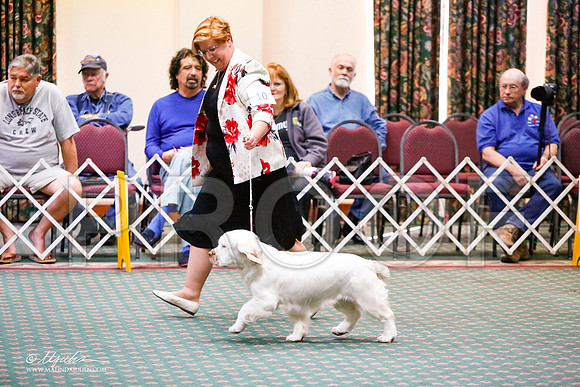 _JJ_3228-ClumberMar2015-HR3