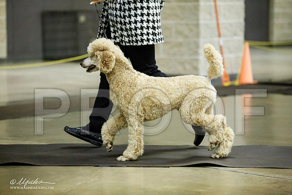 _JJ_5635-BeltonJan2015IABCA-HR3