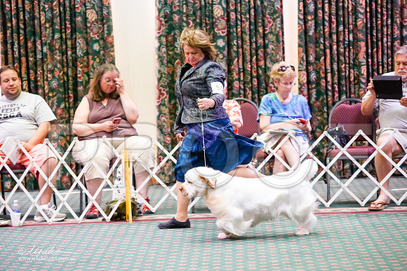 _JJ_4727-ClumberMar2015-HR3