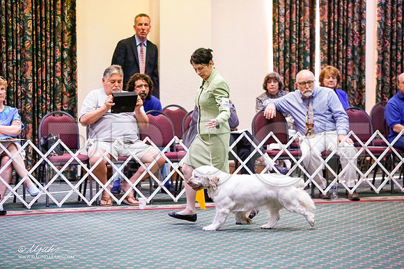 _JJ_5084-ClumberMar2015-HR3