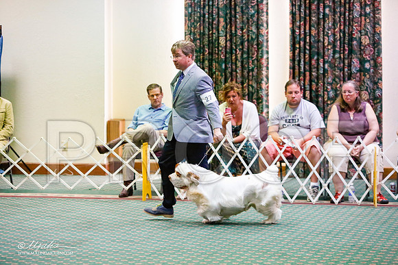 _JJ_2865-ClumberMar2015-HR3