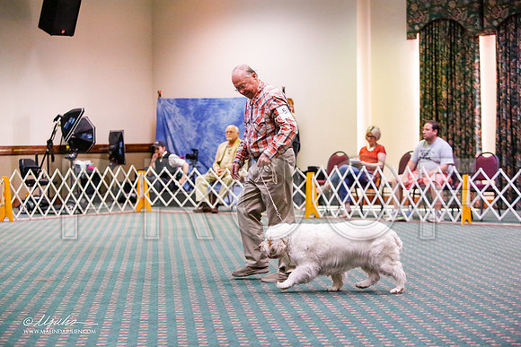 _JJ_4068-ClumberMar2015-HR3