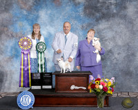 Donna Bledsoe Houston Toy Show 2025
