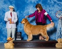 Retrievers Golden #5 Sat BOB NG Mccormick Debbie Kemah Plusk Judge Dr Dale D Simmons