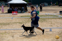 *Ringside Longview WA 2024 Alaska Klee Kai #204
