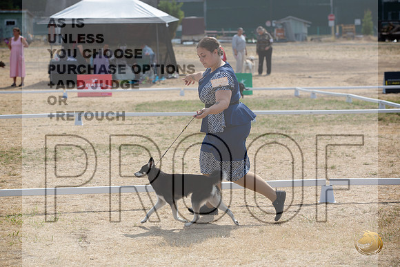 Ringside Longview WA 2024 Alaska Klee Kai #204_JJL_3542_Longview WA_2024_HR3