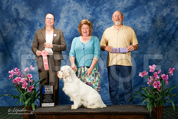 _ST_5659-ClumberMar2015-HR3