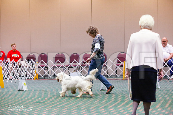 _JJ_6324-ClumberMar2015-HR3