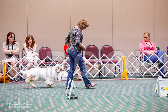 _JJ_6475-ClumberMar2015-HR3