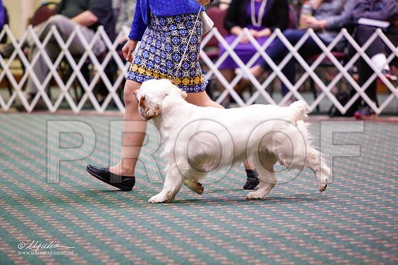 _JJ_5574-ClumberMar2015-HR3