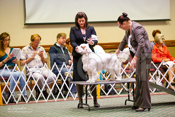 _JJ_5636-ClumberMar2015-HR3