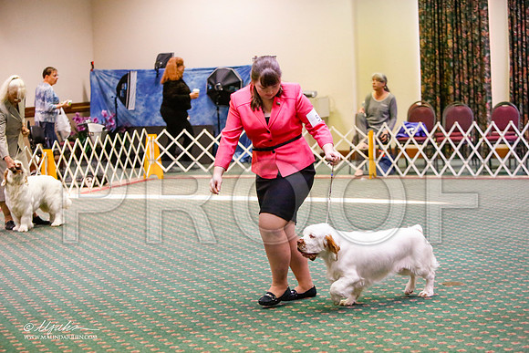 _JJ_5241-ClumberMar2015-HR3