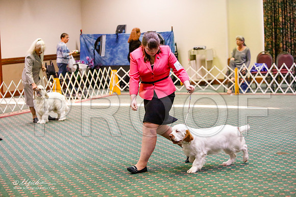 _JJ_5242-ClumberMar2015-HR3